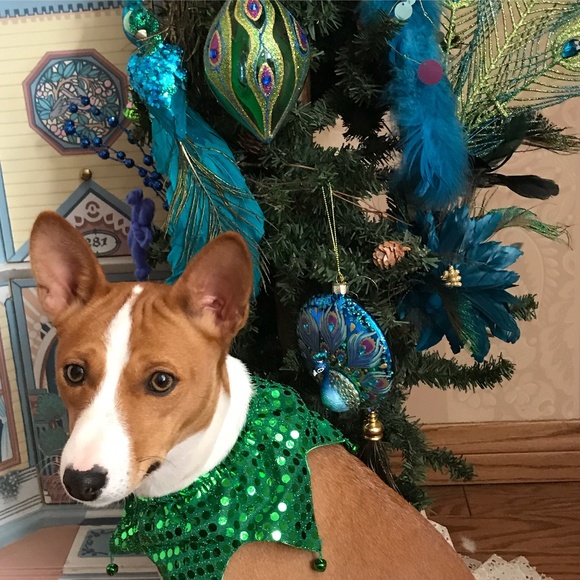 NO clowning around.... - Picture 3 of 16